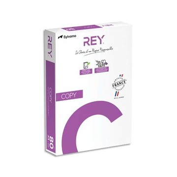 INA R/500F COPY A4 80G 88091604