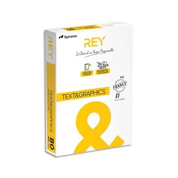 INA R/500F TXT GRAPH A4 80G 88091619