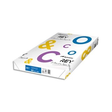 INA R/500F TXT GRAPH A3 80G 88091620