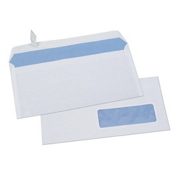 PRG B/500 ENV 80G DL F45 AUTO ADHESIVE