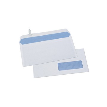 PRG B/500 ENV 80G DL F45 AUTO ADHESIVE