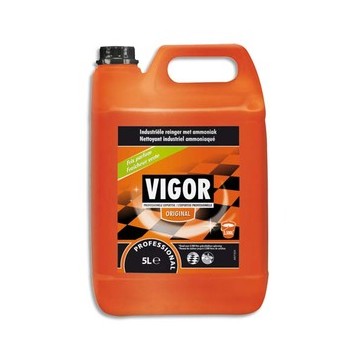 VGR BIDON 5L NETTOY IND VIGOR 100874684